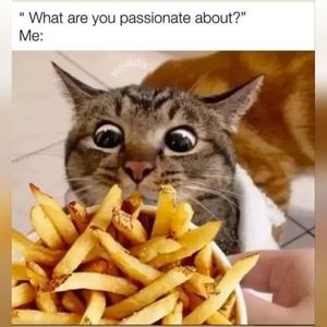 Meet your Posher, Agata